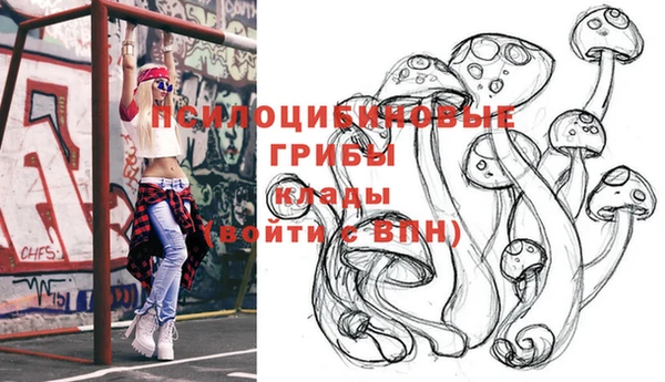 метадон Гусев