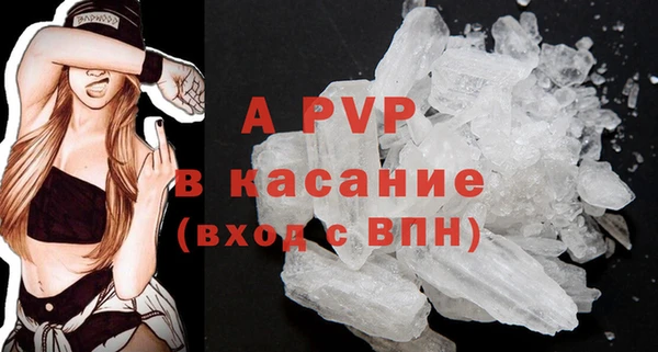 стаф Дмитров