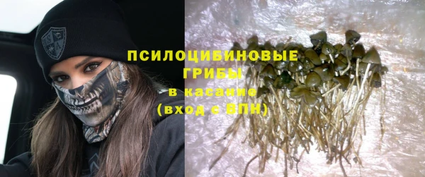 COCAINE Гусь-Хрустальный