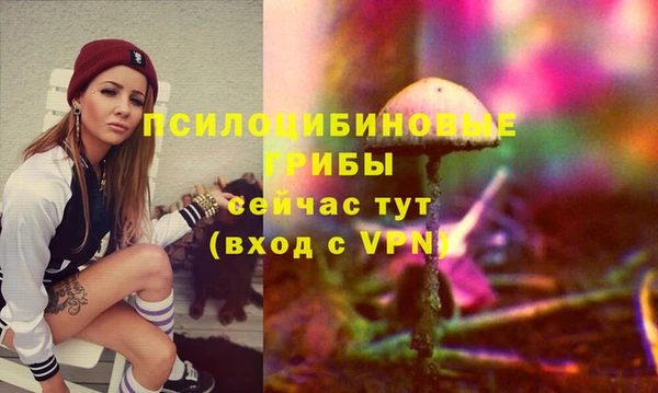 COCAINE Гусь-Хрустальный