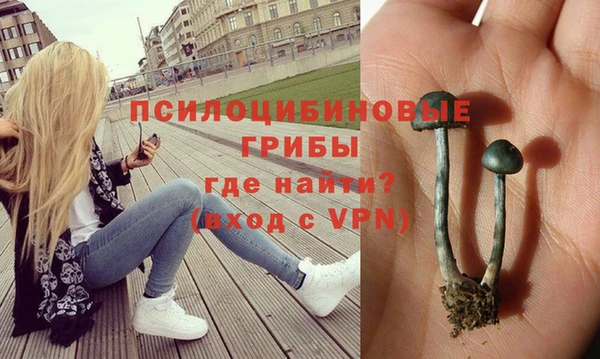 метадон Гусев